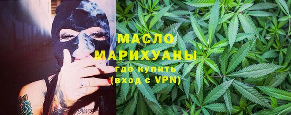 индика Нязепетровск