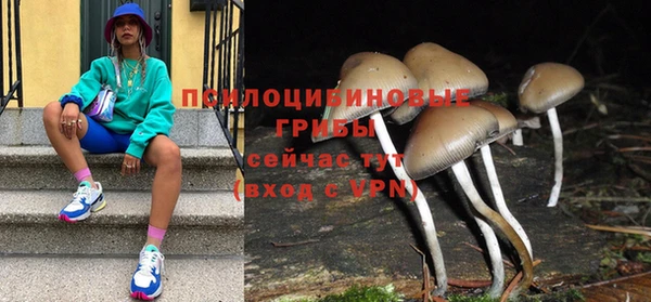 ECSTASY Няндома