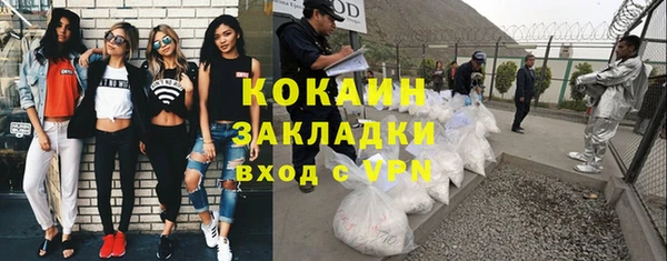 индика Нязепетровск