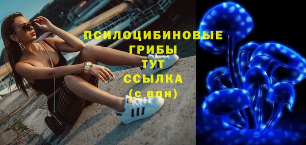 индика Нязепетровск