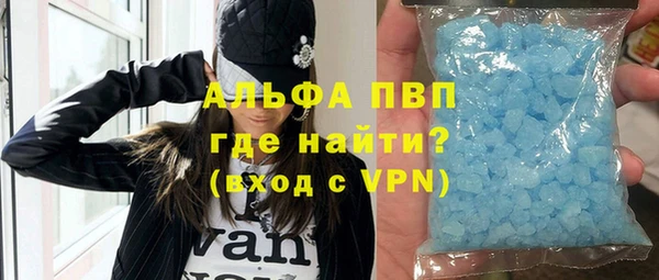 индика Нязепетровск