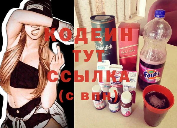 индика Нязепетровск