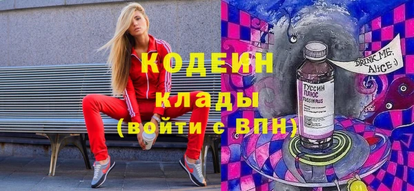 индика Беслан