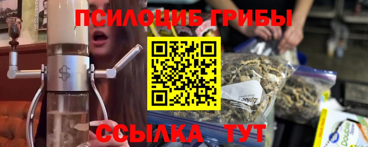 Галлюциногенные грибы Magic Shrooms  Псилоцибиновые грибы GOLDEN TEACHER  Астрахань  Вход с VPN 
